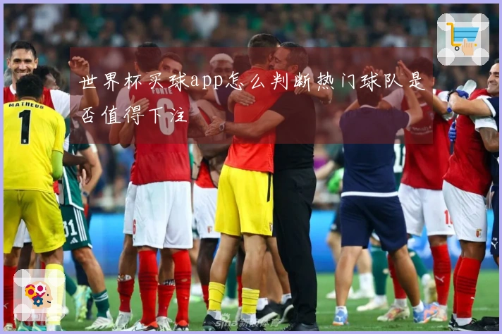 世界杯买球app怎么判断热门球队是否值得下注