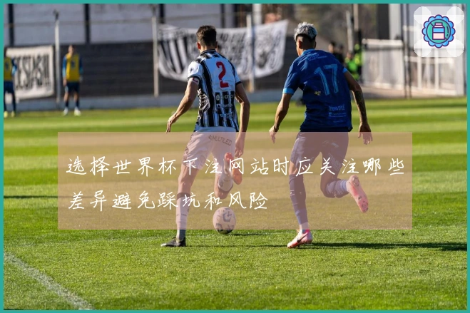 选择世界杯下注网站时应关注哪些差异避免踩坑和风险