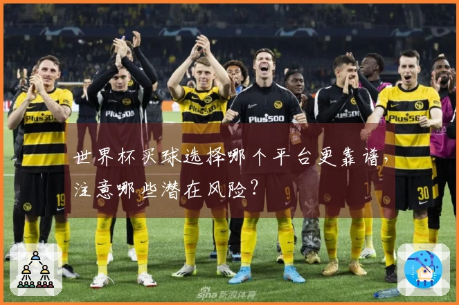 世界杯买球选择哪个平台更靠谱，注意哪些潜在风险？